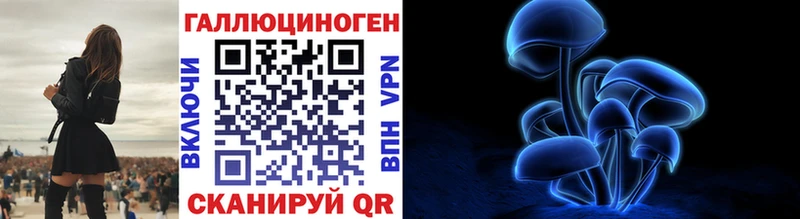 Псилоцибиновые грибы мухоморы  купить  сайты  Новая Ладога 